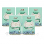 하이웰 프리미엄 뷰티인 마린콜라겐 750 60캡슐(베지캡슐) 5통 