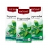 레드씰 페퍼민트 허브티(Peppermint Tea)25티백 3개