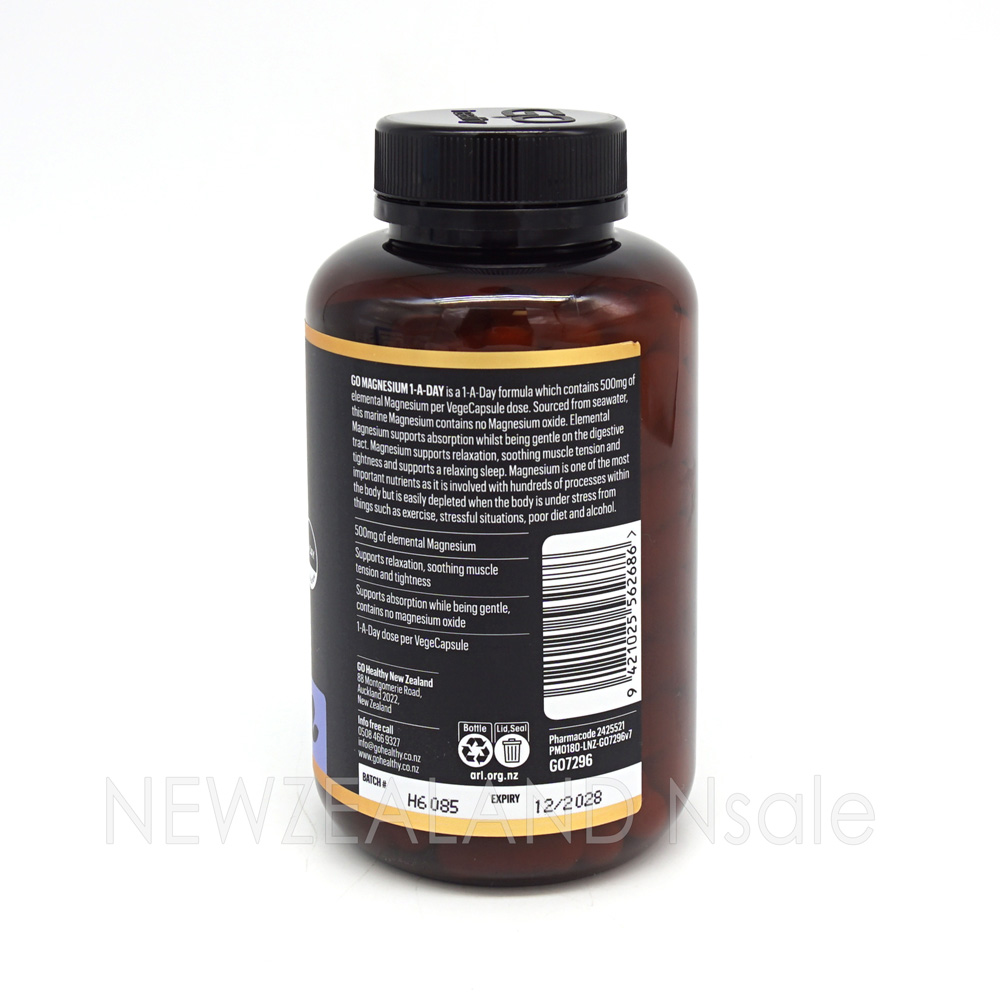 고헬씨 고 마그네슘 원어데이 500mg 120캡슐 2통