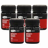 콤비타 마누카 블랜드 허니 MGO30+ 250g 5통