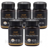 [20% 할인행사] 하이웰 프리미엄 마누카꿀 UMF10+ 500g 5통
