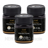 [20% 할인행사] 하이웰 프리미엄 마누카꿀 UMF20+ 250g 3통