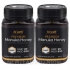 [20% 할인행사] 하이웰 프리미엄 마누카꿀 UMF20+ 500g 2통